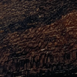 Bois 4 Personnalisation Ears