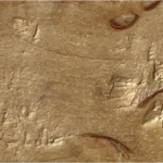 Bois 5 Personnalisation Ears