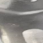 Gris Personnalisation Ears